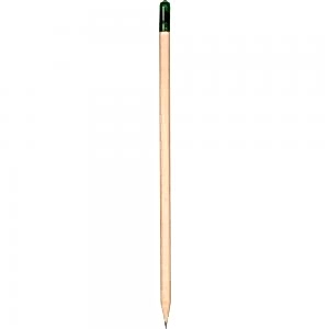 Tohumlu Kurşun Kalem