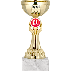 Ödül Kupası - 18 Cm