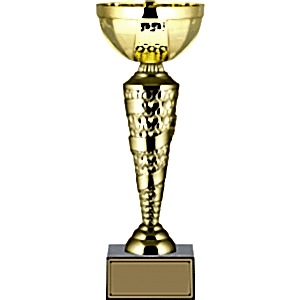 Ödül Kupası - 34 Cm