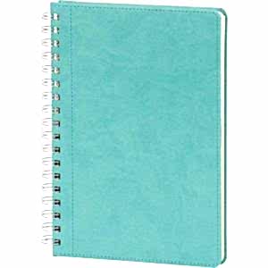 Spiralli Günlük Ajanda ( 17 x 24 cm )