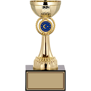 Ödül Kupası - 21 Cm