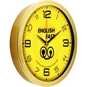 Metalize Duvar Saati ( Ø 30 cm )